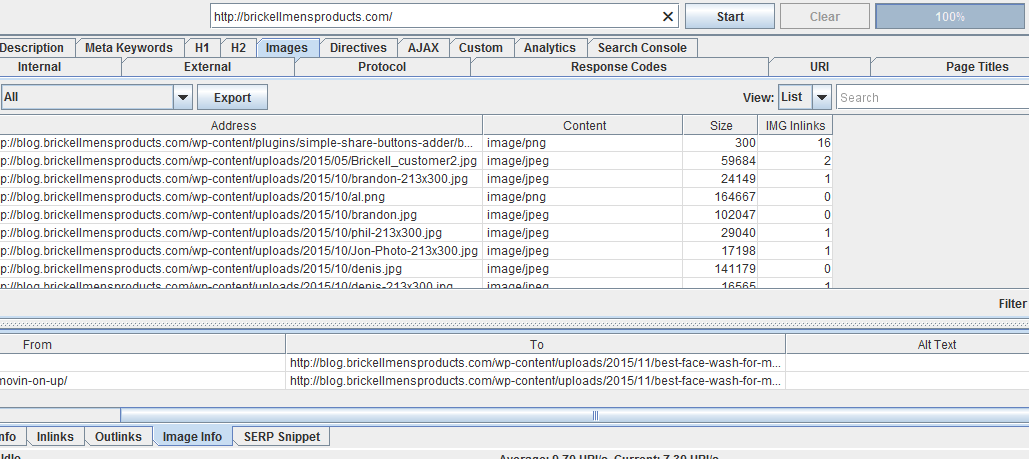 How to view image alt text in Screaming Frog