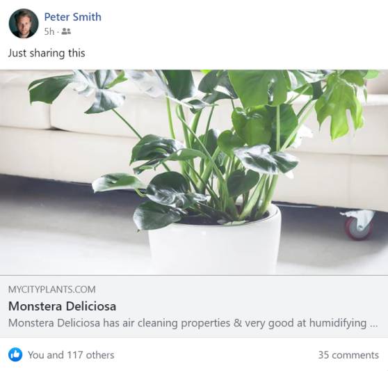 Facebook Open Graph preview tool