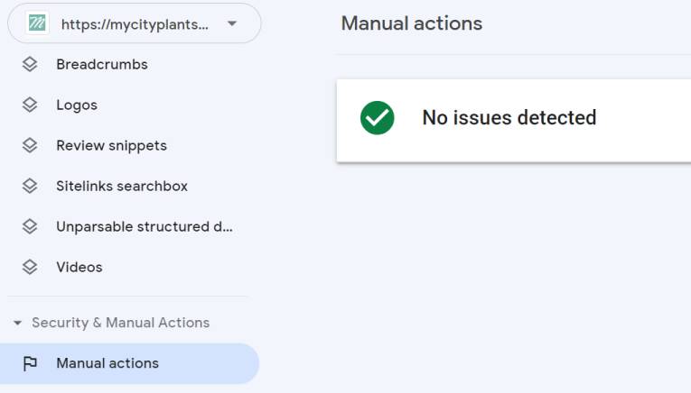 Google Search Console manual actions