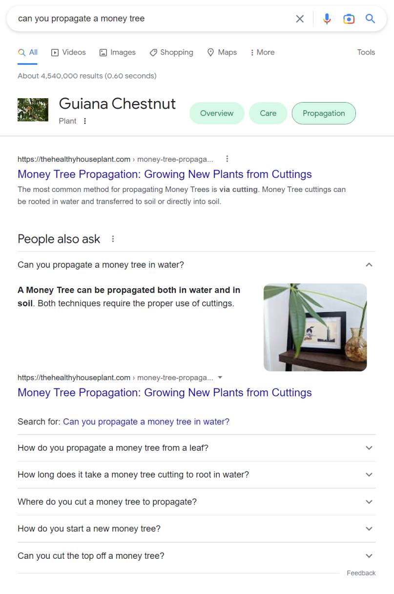People also ask from FAQ markup