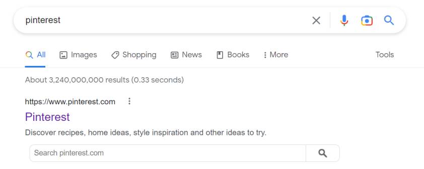 Pinterest WebSite markup for internal search results