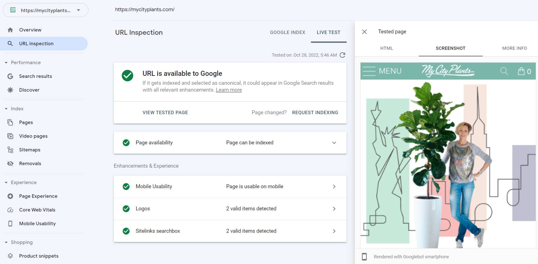 URL inspection tool Google Search Console