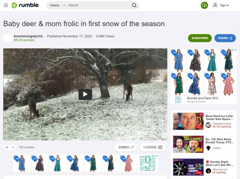 Google Display ads for shopping of number 9 fashion